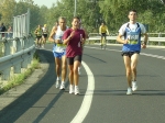 carpi2006_morselli 214.jpg