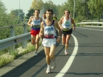 carpi2006_morselli 223.jpg