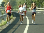 carpi2006_morselli 290.jpg