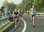 carpi2006_morselli 307.jpg