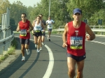 carpi2006_morselli 330.jpg