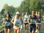 carpi2006_morselli 375.jpg