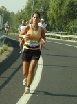 carpi2006_morselli 380.jpg