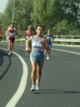 carpi2006_morselli 400.jpg
