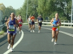 carpi2006_morselli 412.jpg