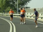 carpi2006_morselli 414.jpg