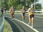 carpi2006_morselli 424.jpg