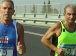carpi2006_morselli 440.jpg