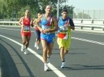 carpi2006_morselli 450.jpg