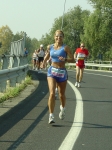 carpi2006_morselli 500.jpg