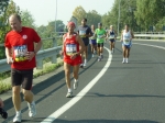 carpi2006_morselli 512.jpg