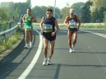 carpi2006_morselli 525.jpg