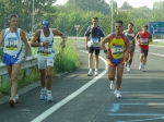 carpi2006_morselli 528.jpg