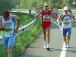 carpi2006_morselli 540.jpg