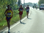 carpi2006_morselli 611.jpg