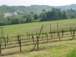 50km di romagna_25.04.2006_0095.jpg