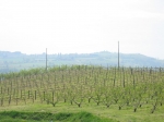 50km di romagna_25.04.2006_0111.jpg