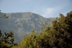 vivinatura_28.10.06_0058.jpg