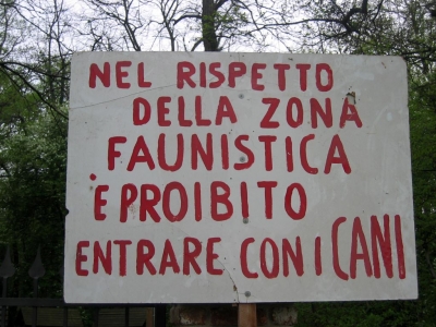 Clicca per vedere l'immagine alla massima grandezza
