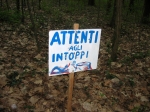 Casterno21km_17.04.2006_0034.jpg