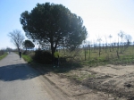 MARATONA_12.03.2006_0040.jpg