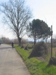 MARATONA_12.03.2006_0041.jpg