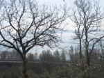 MARATONA_12.03.2006_0050.jpg