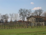 MARATONA_12.03.2006_0059.jpg