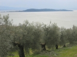 MARATONA_12.03.2006_0067.jpg