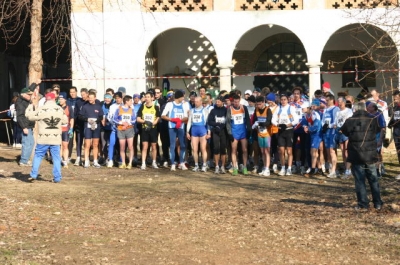 Clicca per vedere l'immagine alla massima grandezza