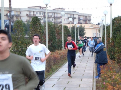 Clicca per vedere l'immagine alla massima grandezza