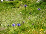 Nome del file=138_3807.JPG
Dimensione del file=254KiB
Dimensioni=1024x768
Aggiunta il=08 Giu 2006 138_3807.JPG