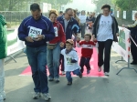 zz 133.jpg