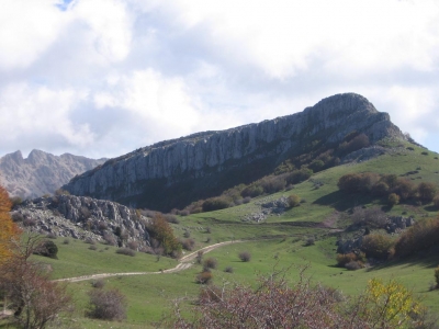 Clicca per vedere l'immagine alla massima grandezza