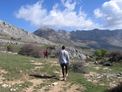 Clicca per vedere l'immagine alla massima grandezza