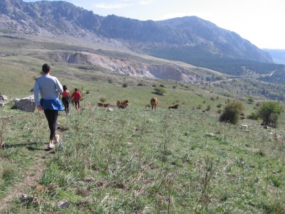 Clicca per vedere l'immagine alla massima grandezza
