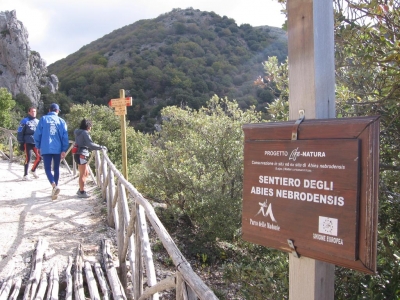 Clicca per vedere l'immagine alla massima grandezza