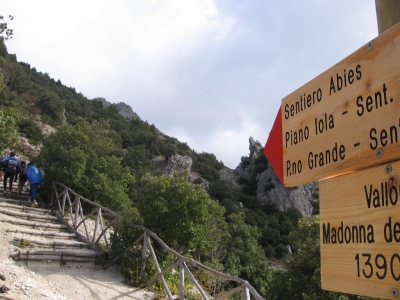 Clicca per vedere l'immagine alla massima grandezza