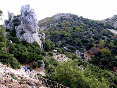 Clicca per vedere l'immagine alla massima grandezza