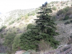 img_1190.jpg