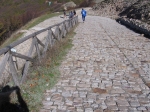 img_1219.jpg