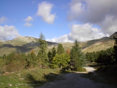 Clicca per vedere l'immagine alla massima grandezza