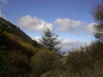 Nome del file=IM006781.JPG
Dimensione del file=97KiB
Dimensioni=640x480
Aggiunta il=16 Nov 2006 IM006781.JPG