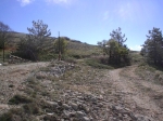 Nome del file=IM006797.JPG
Dimensione del file=127KiB
Dimensioni=640x480
Aggiunta il=16 Nov 2006 IM006797.JPG