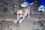 erice_06_0325.jpg