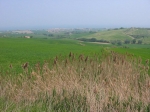 114.jpg