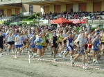 ferrara_ippo 018.jpg