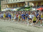 ferrara_ippo 019.jpg