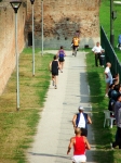 136.jpg