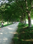 146.jpg